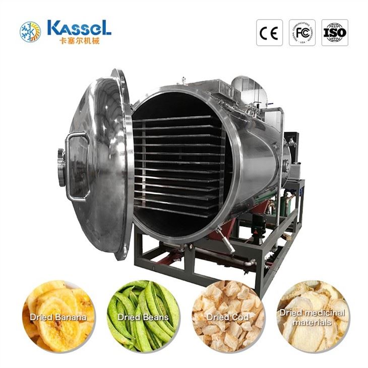 Vacuum Freeze Dryer suppliers