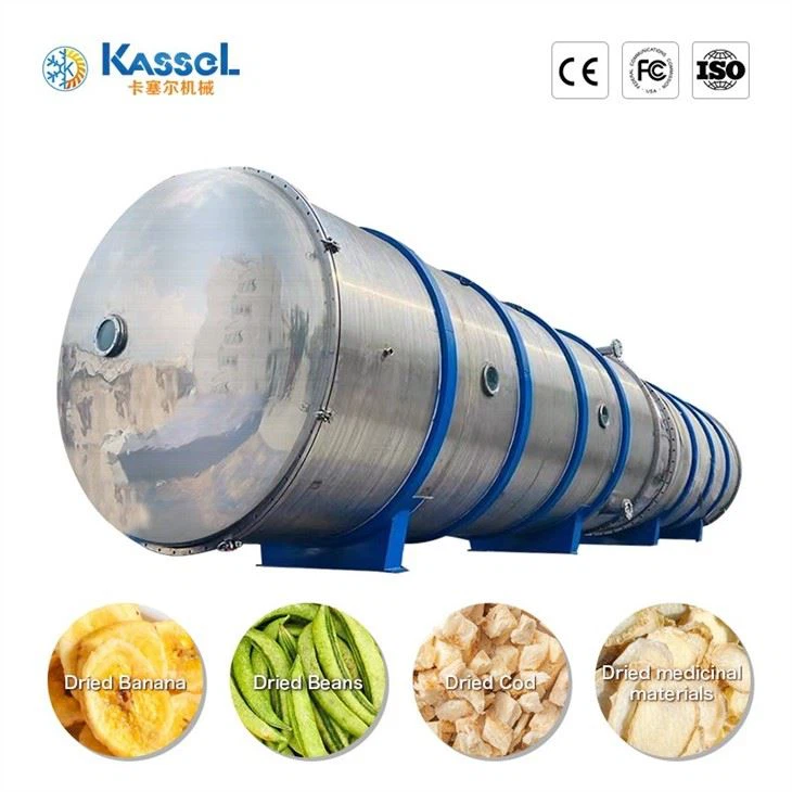 China Vacuum Freeze Dryer manufacturers